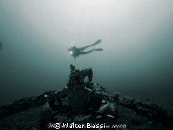 "THE ENGINE" by Walter Bassi 